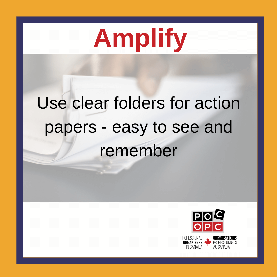 Amplify 4