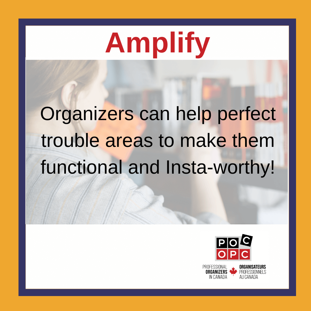 Amplify 8