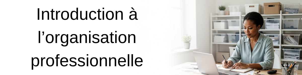 Introduction à l’organisation professionnelle